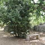 Il percorso naturalistico invece ci porta nel bosco che circonda il sito. Passeggiamo tra querce rovella, olmi campesti, fragni, calle pugliesi e rose canine, intervallati da alcune panchine in legno dove � possibile rilassarsi ascoltando i suoni della natura